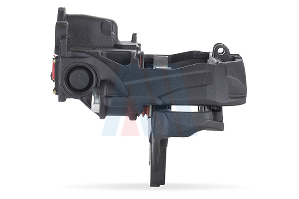 CCK10 - CHF1126