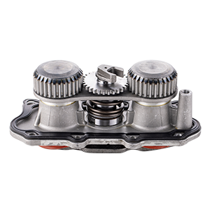 CHINESE CALIPER - CSTRK