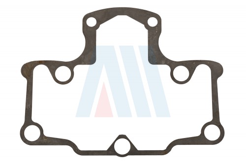 Head Gasket