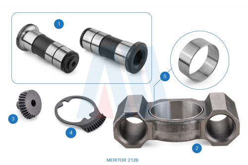 Caliper Bridge & Tubes Repair Kit (derecho)