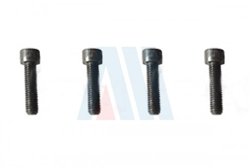 Screw Set