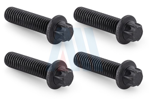 Screw Set