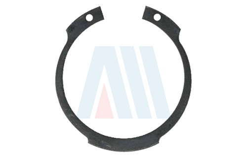Circlip